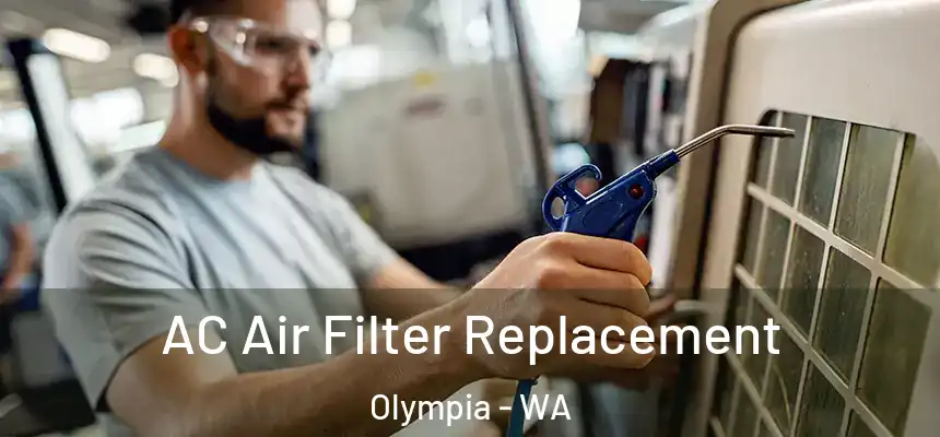 AC Air Filter Replacement Olympia - WA