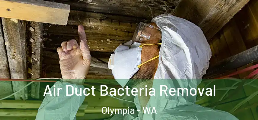 Air Duct Bacteria Removal Olympia - WA