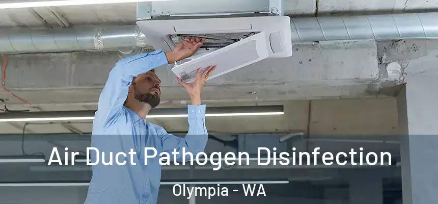 Air Duct Pathogen Disinfection Olympia - WA