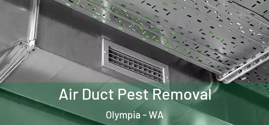 Air Duct Pest Removal Olympia - WA