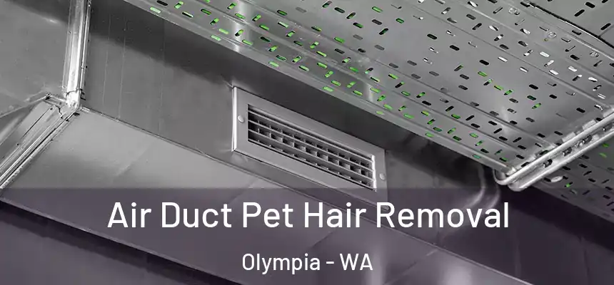 Air Duct Pet Hair Removal Olympia - WA