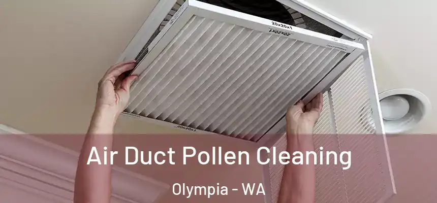 Air Duct Pollen Cleaning Olympia - WA