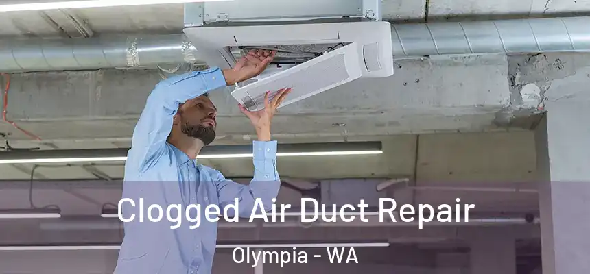 Clogged Air Duct Repair Olympia - WA
