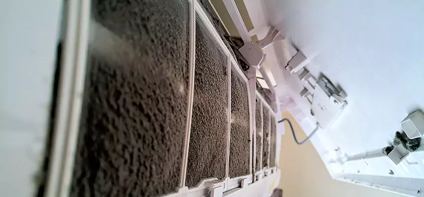 Preventive Air Duct Bacteria Removal in Olympia