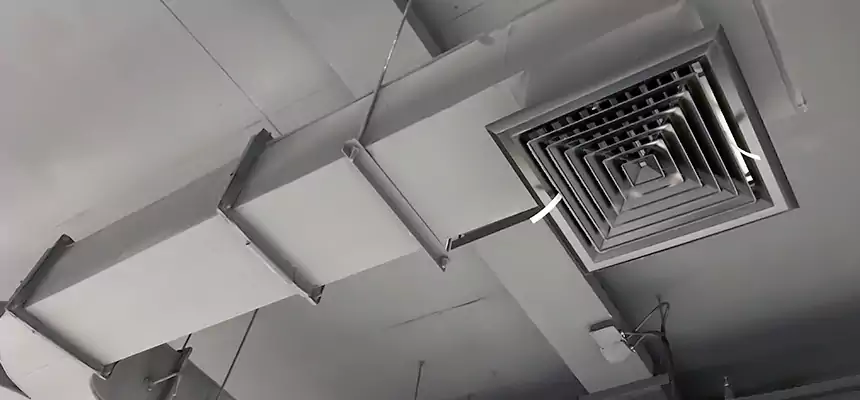 Restorative Allergy Relief Vent Cleaning – Coil, Blower & Housing Detail in Olympia