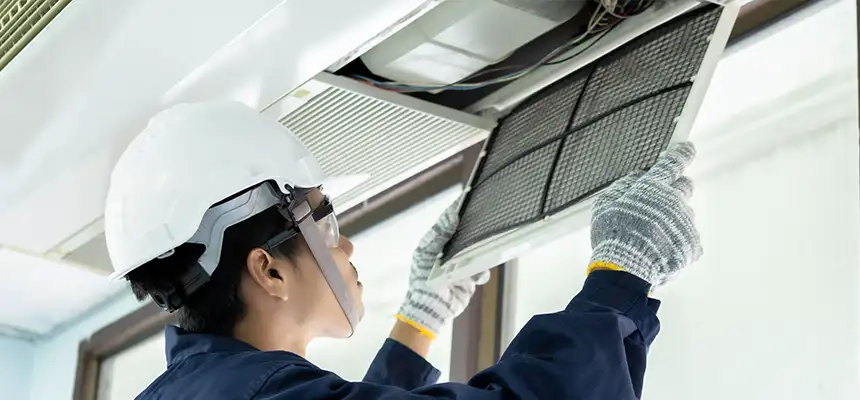 Our Lint Trap Cleaning Service Services in Olympia, WA