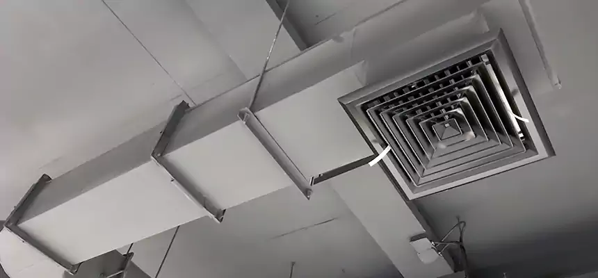 Our Pest Removal From Ducts Services in Olympia, WA