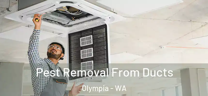 Pest Removal From Ducts Olympia - WA
