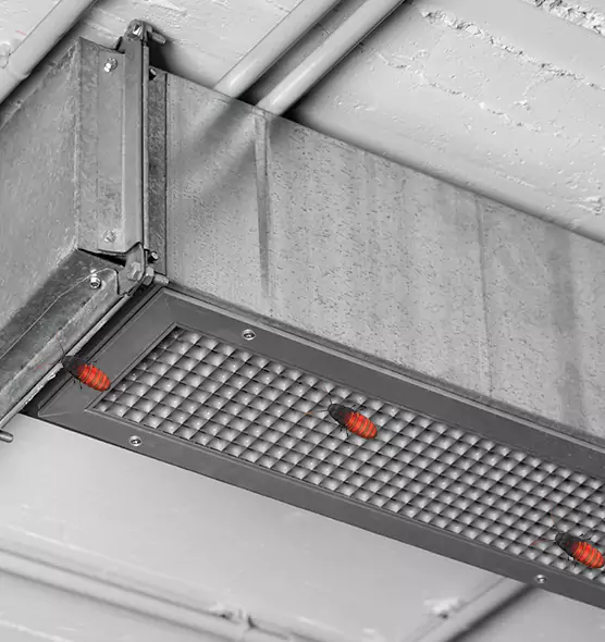 About Air Duct Cockroach Removal in Olympia, WA