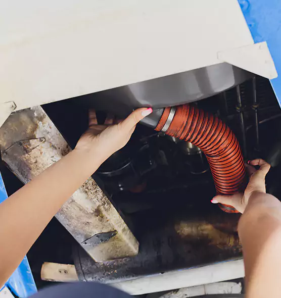 About Air Duct Virus Disinfection in Olympia, WA