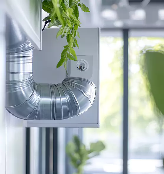 Professional Eco-Safe Dryer Vent Cleaning in Olympia, WA