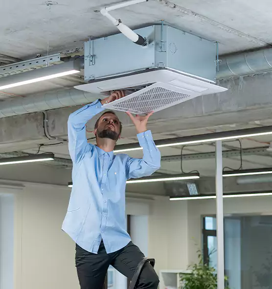 Advanced Rodent Droppings In Vents in Olympia, WA