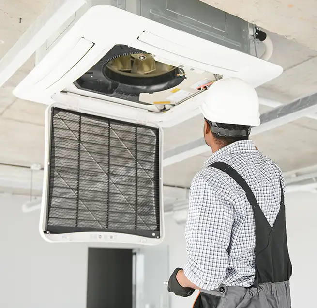 Why Homeowners & Businesses Trust Us in Olympia, WA?