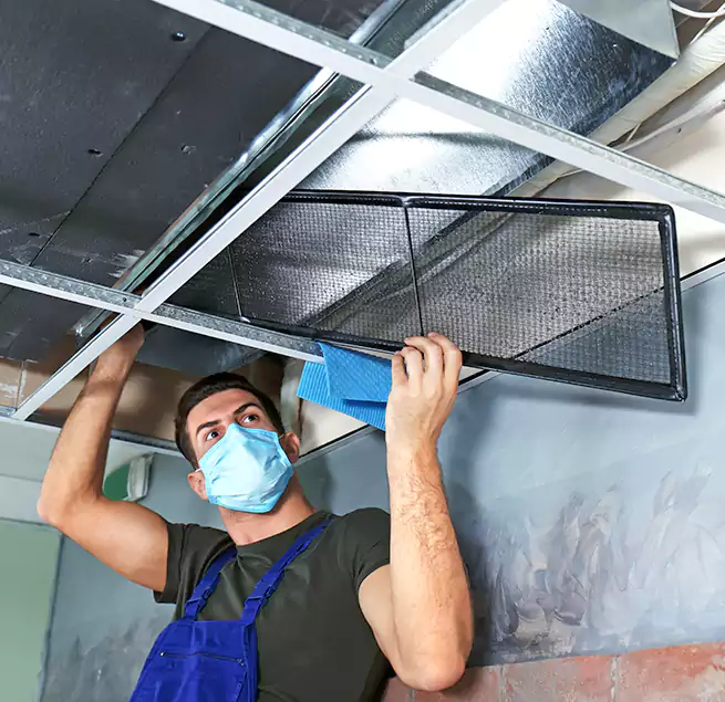 Why Homeowners Businesses Trust Us in Olympia, WA