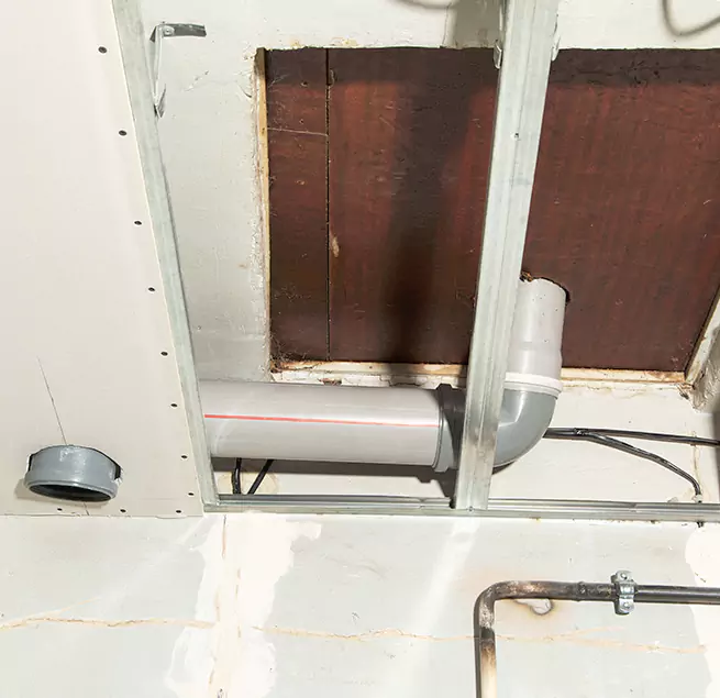 Why Homeowners & Businesses Trust Us in Olympia, WA?