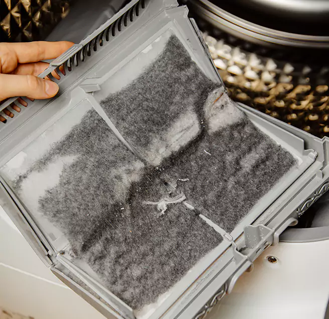  Why Homeowners & Businesses Trust Us Olympia, WA?