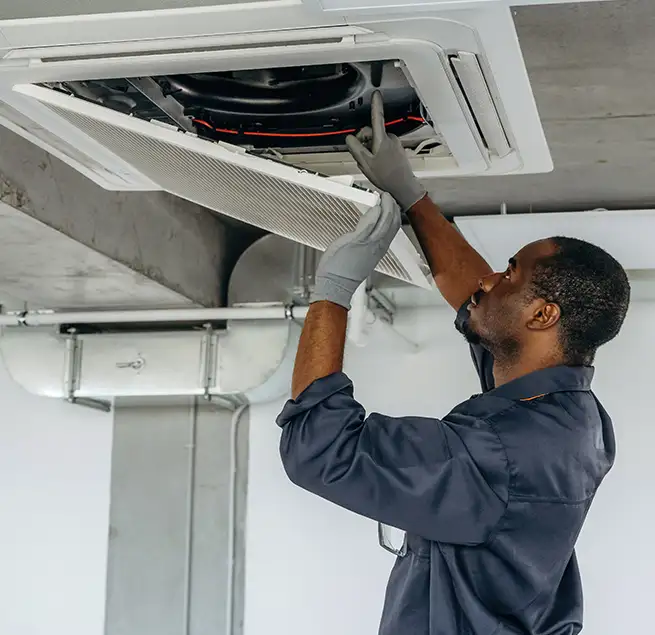 Why Homeowners & Businesses Trust Us in Olympia, WA?