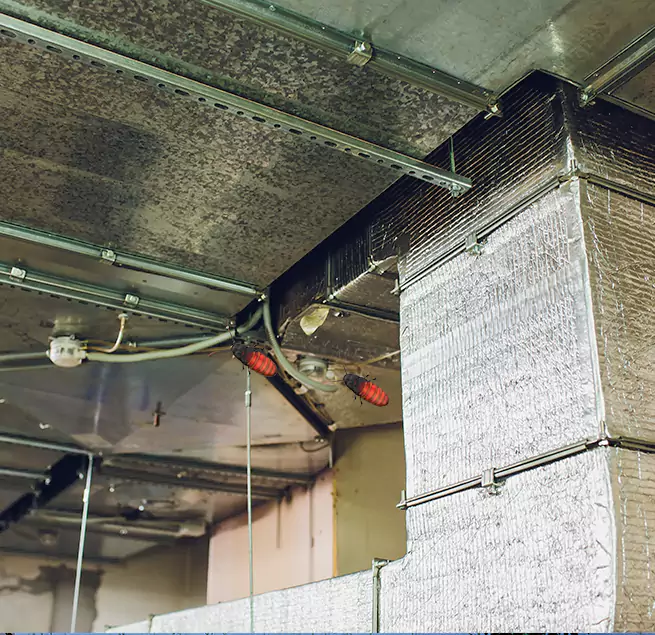 Why Homeowners & Businesses Trust Us Olympia, WA?