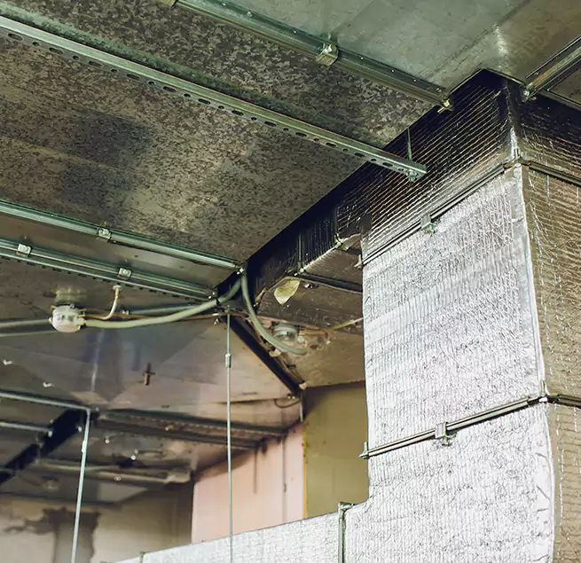 Why Homeowners & Businesses Trust Us in Olympia, WA?