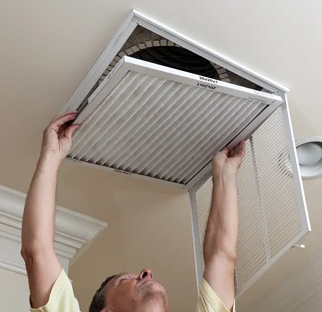 Why Homeowners & Businesses Trust Us in Olympia, WA?