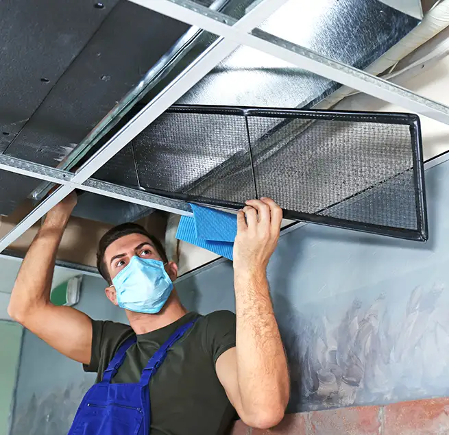 Why Homeowners & Businesses Trust Us in Olympia, WA?