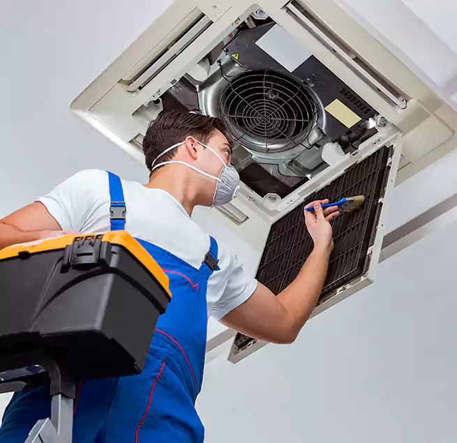 Why Homeowners & Businesses Trust Us in Olympia, WA?